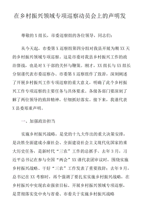 在乡村振兴领域专项巡察动员会上的声明发言.docx