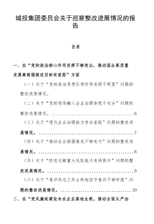 城投集团委员会关于巡察整改进展情况的报告.docx