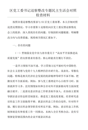 区党工委书记巡察整改专题民主生活会对照检查材料.docx