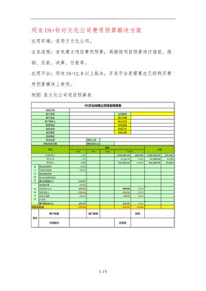 文化传媒公司费用预算项目解决方案-副本.doc