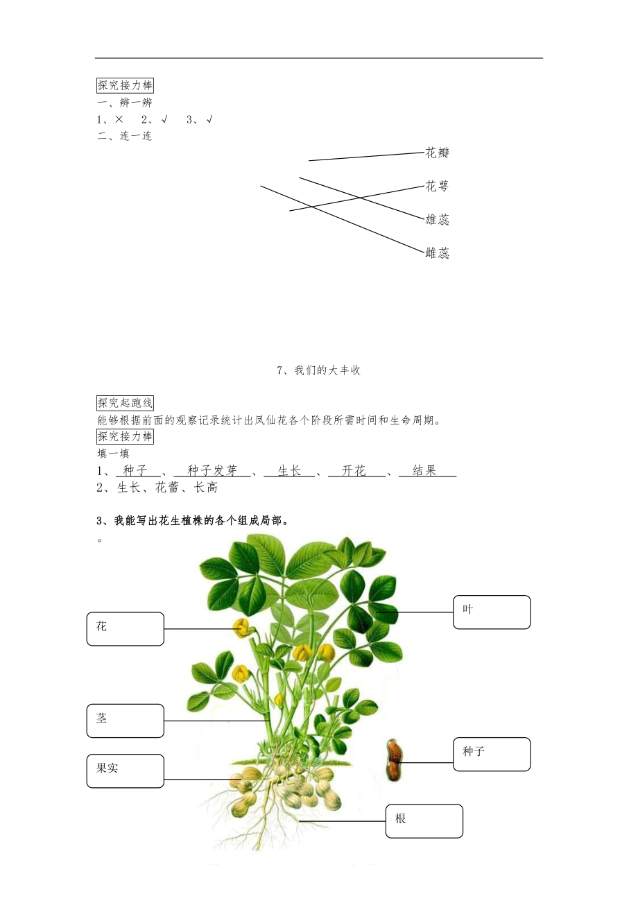 教科版小学科学三下参考答案.doc_第3页