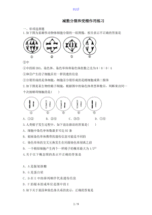 减数分裂同步练习.doc