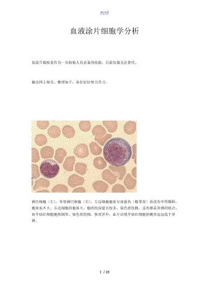 爱爱医资源-54张血涂片细胞解析汇报.doc