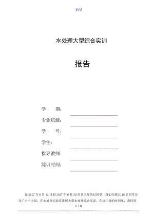 水处理大型综合实训资料报告材料.doc