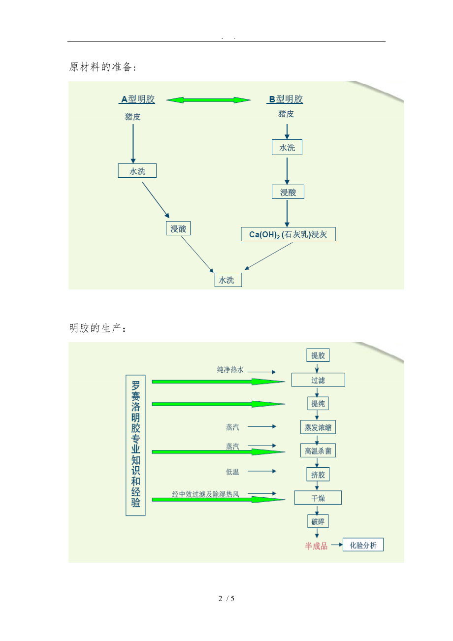 明胶生产工艺.doc_第2页