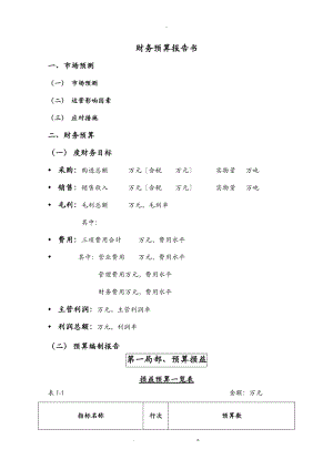 公司财务预算报告书.doc