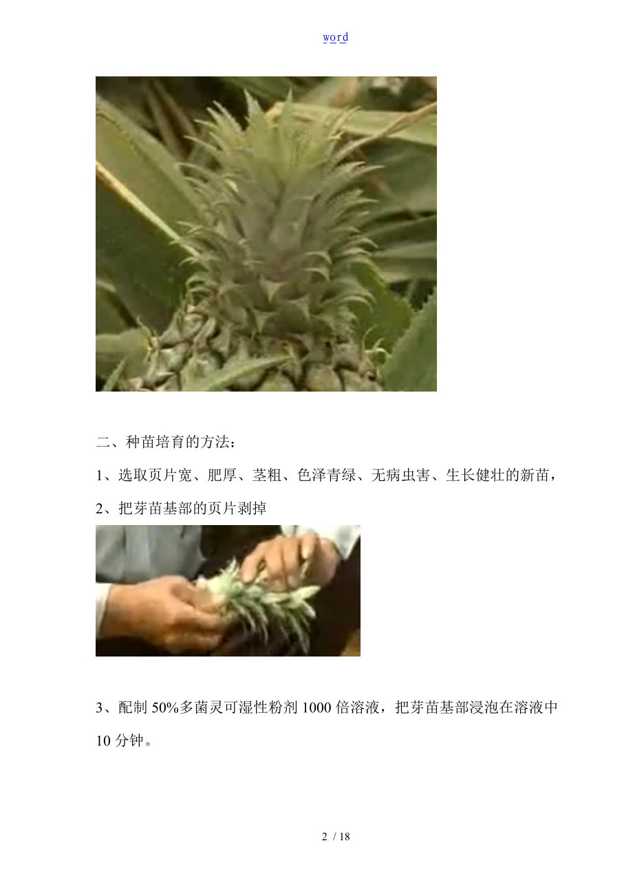 菠萝凤梨种植实用技术.doc_第2页