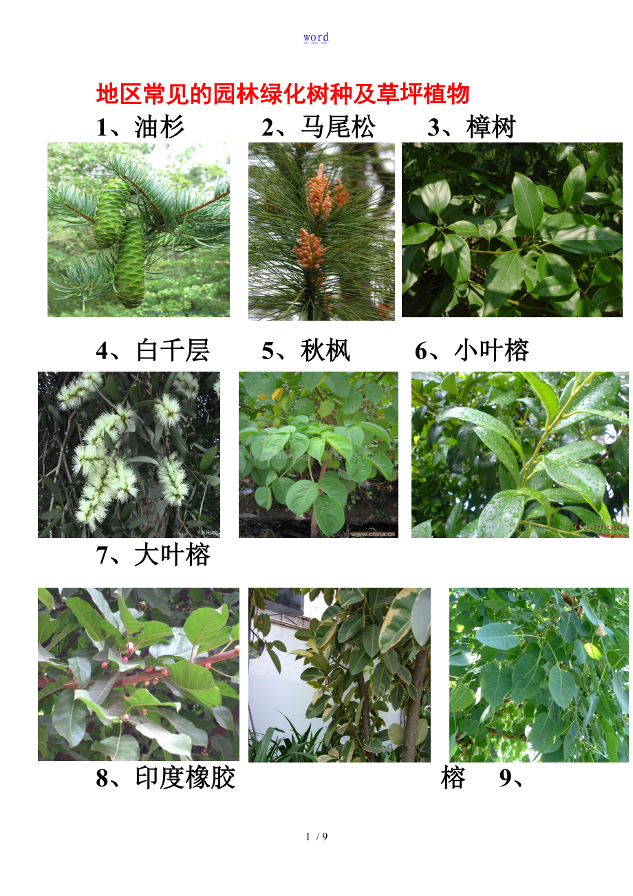 高清图片广东地区常见的园林植物74种.doc_第1页