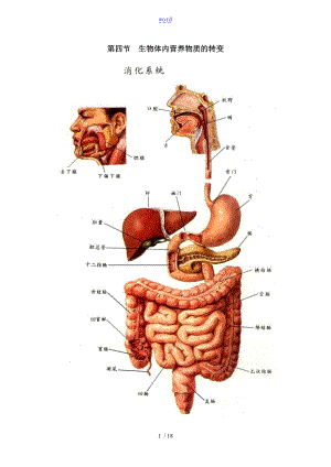 第四节生物体内营养物质地转变.doc