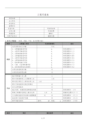 项目月报表格式.doc