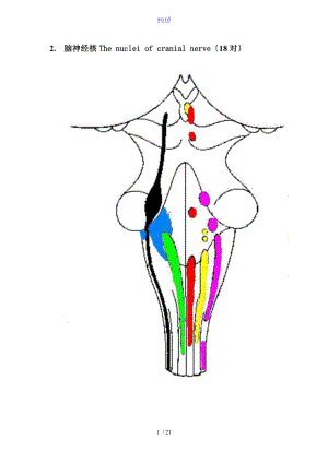 脑神经核及其记忆方法.doc