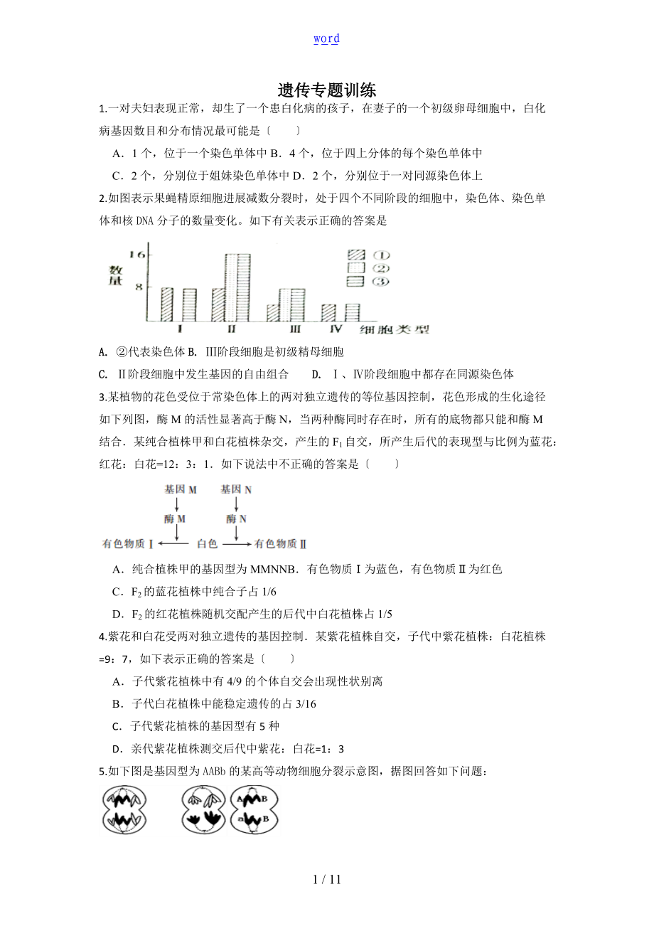 遗传专题训练带问题详解解析汇报.doc_第1页