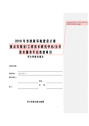 项目可行性研究报告报告模板.doc