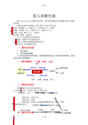 生物化学糖代谢知识点总结材料.doc