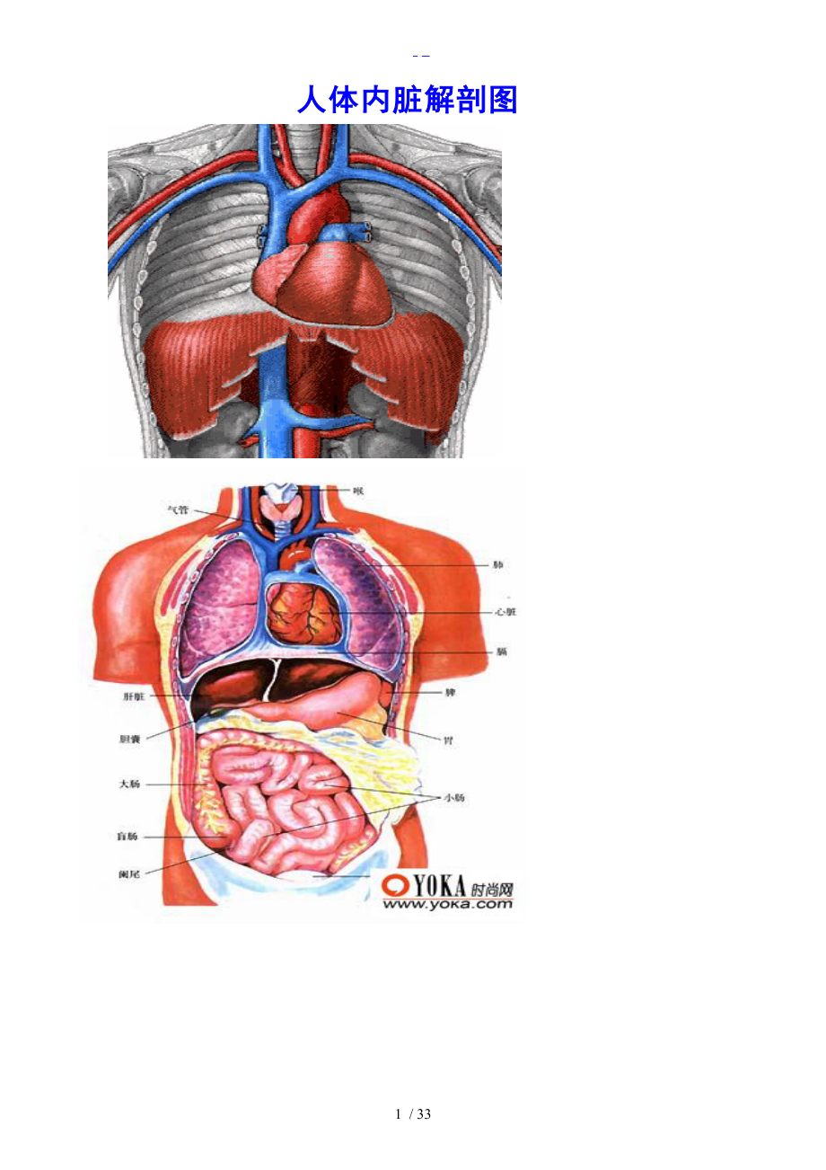 人体各部分与内脏解剖图.doc_第1页