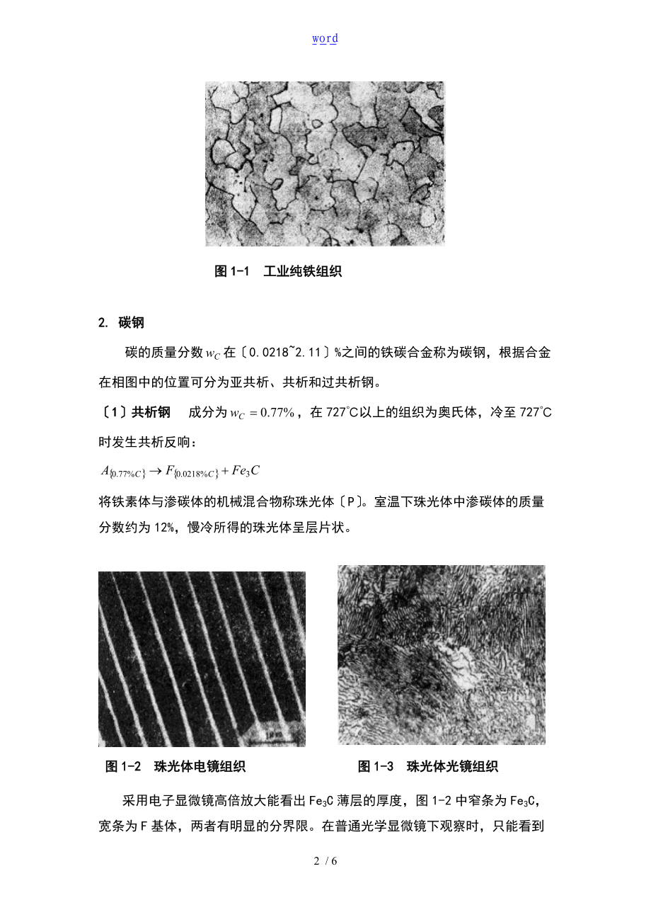 铁碳合金平衡组织分析报告报告材料.doc_第2页