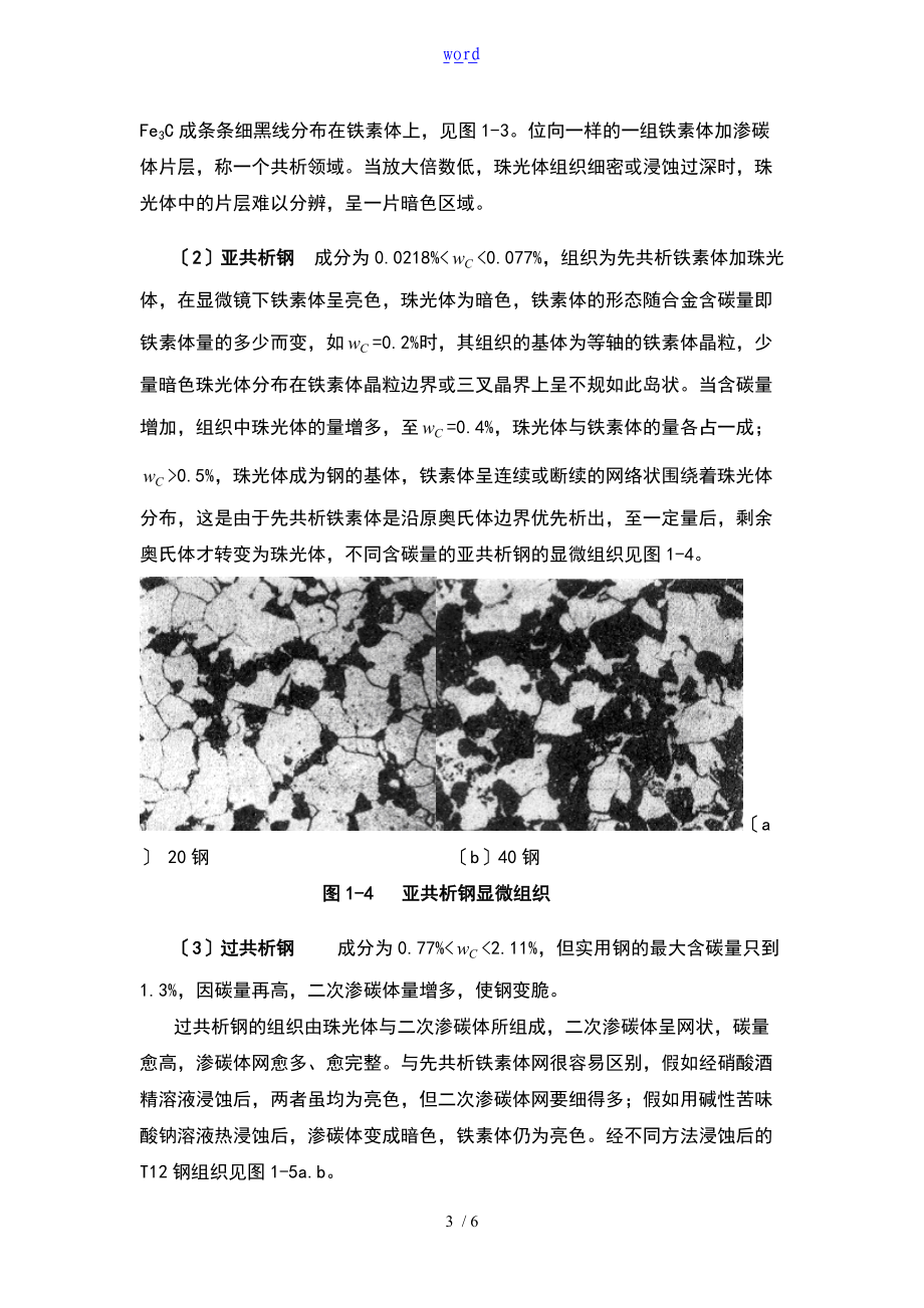 铁碳合金平衡组织分析报告报告材料.doc_第3页