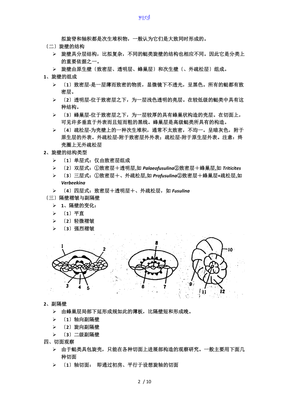 古生物复习1蜓-珊瑚-双壳.doc_第2页