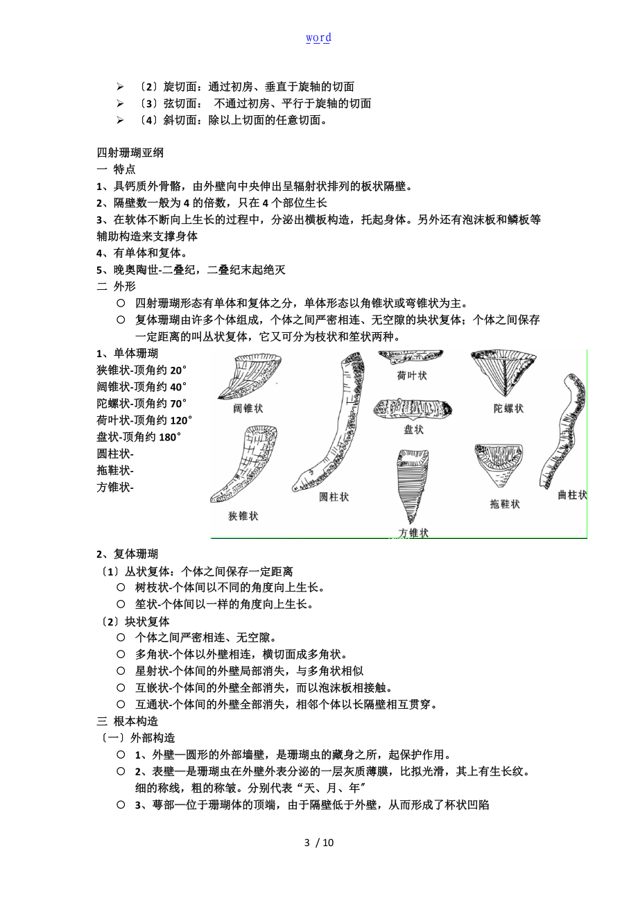 古生物复习1蜓-珊瑚-双壳.doc_第3页