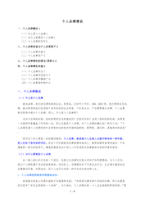 个人品牌建设个人精心编制.06.18版@teliss.docx