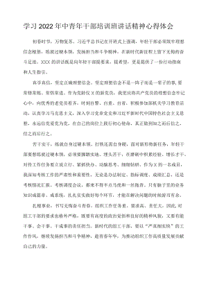 学习2022年中青年干部培训班讲话精神心得体会.docx