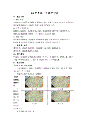 面包发霉了教设计创新课.doc