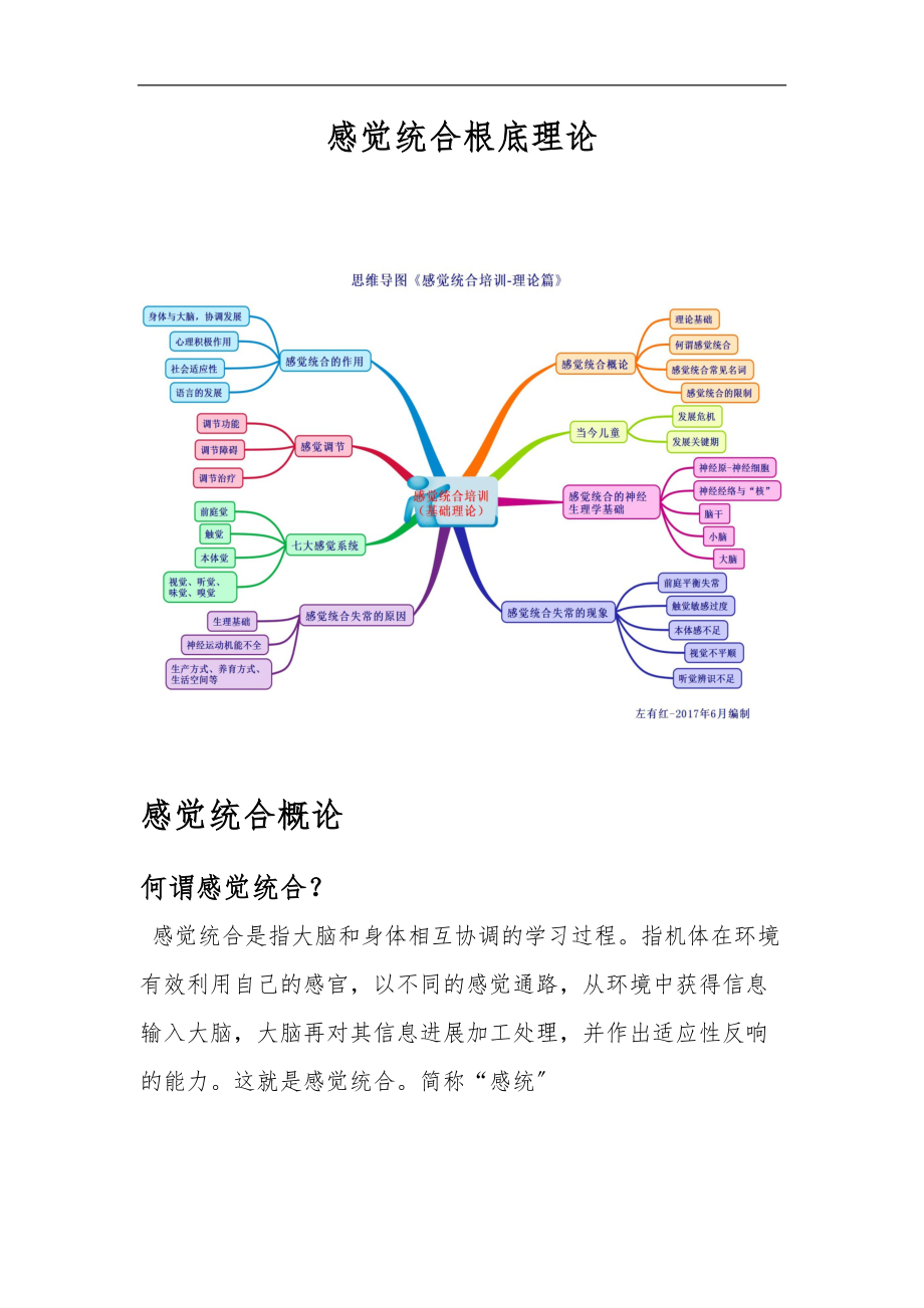 感觉统合高级教师培训讲义第四届.doc_第2页