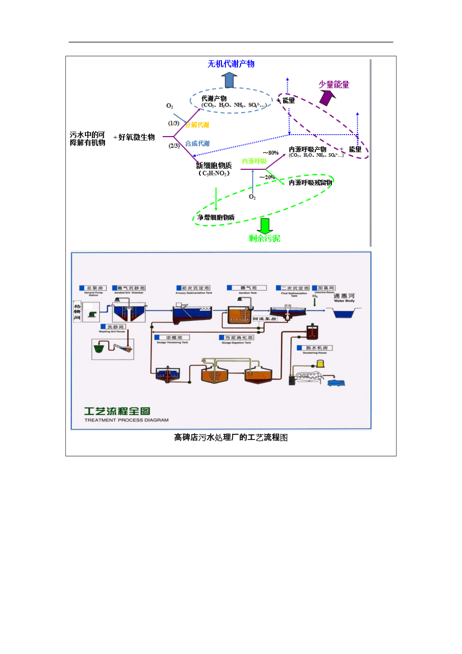 好氧活性污泥培养综合实验-东华大学环境学院大三实验报告.docx_第2页