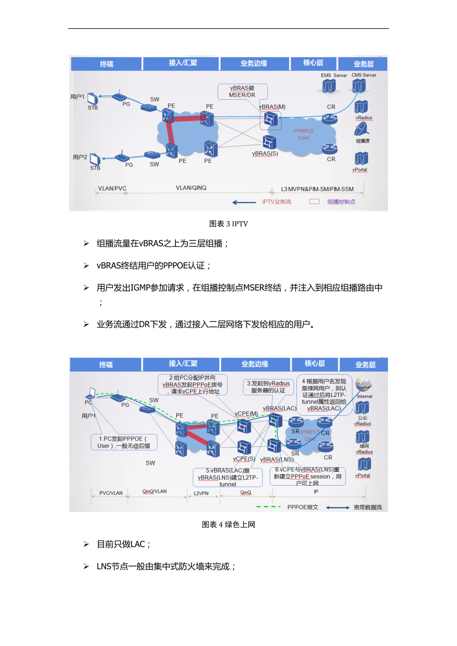 基于某NFV地虚拟化BRAS组网方案设计.doc_第3页