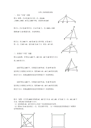 三角形截长补短证明全等专题辅导与练习.doc