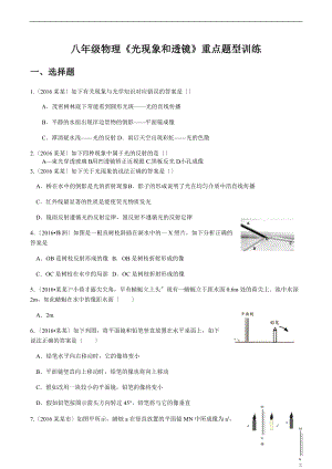 习题八级物理光学部分重难点题型训练.doc