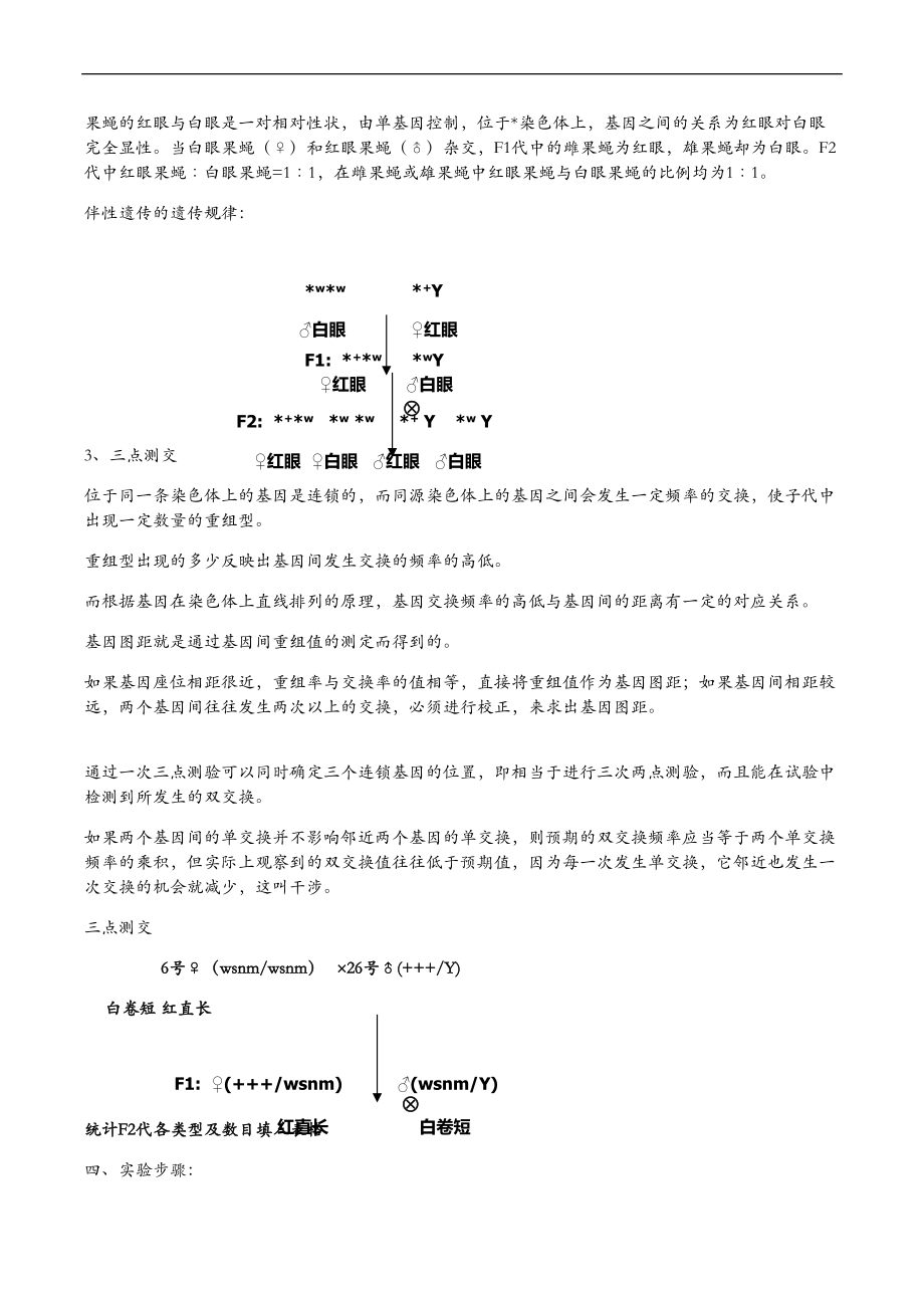 果蝇综合大实验.doc_第2页