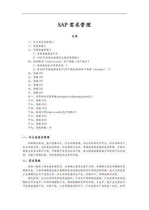 SAP需求管理计划策略详解.doc