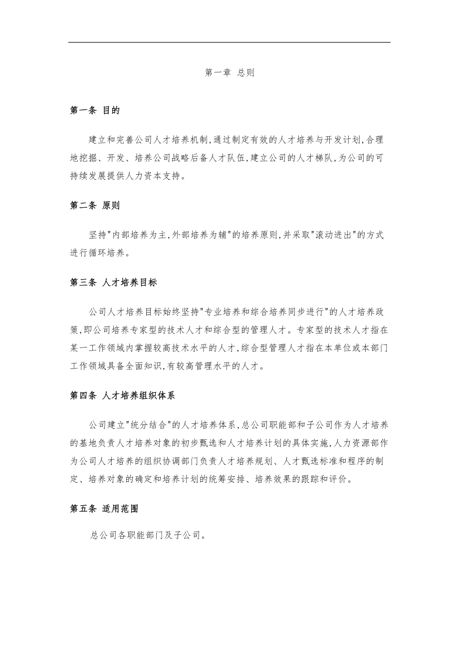 人才梯队建设执行方案试行.doc_第2页