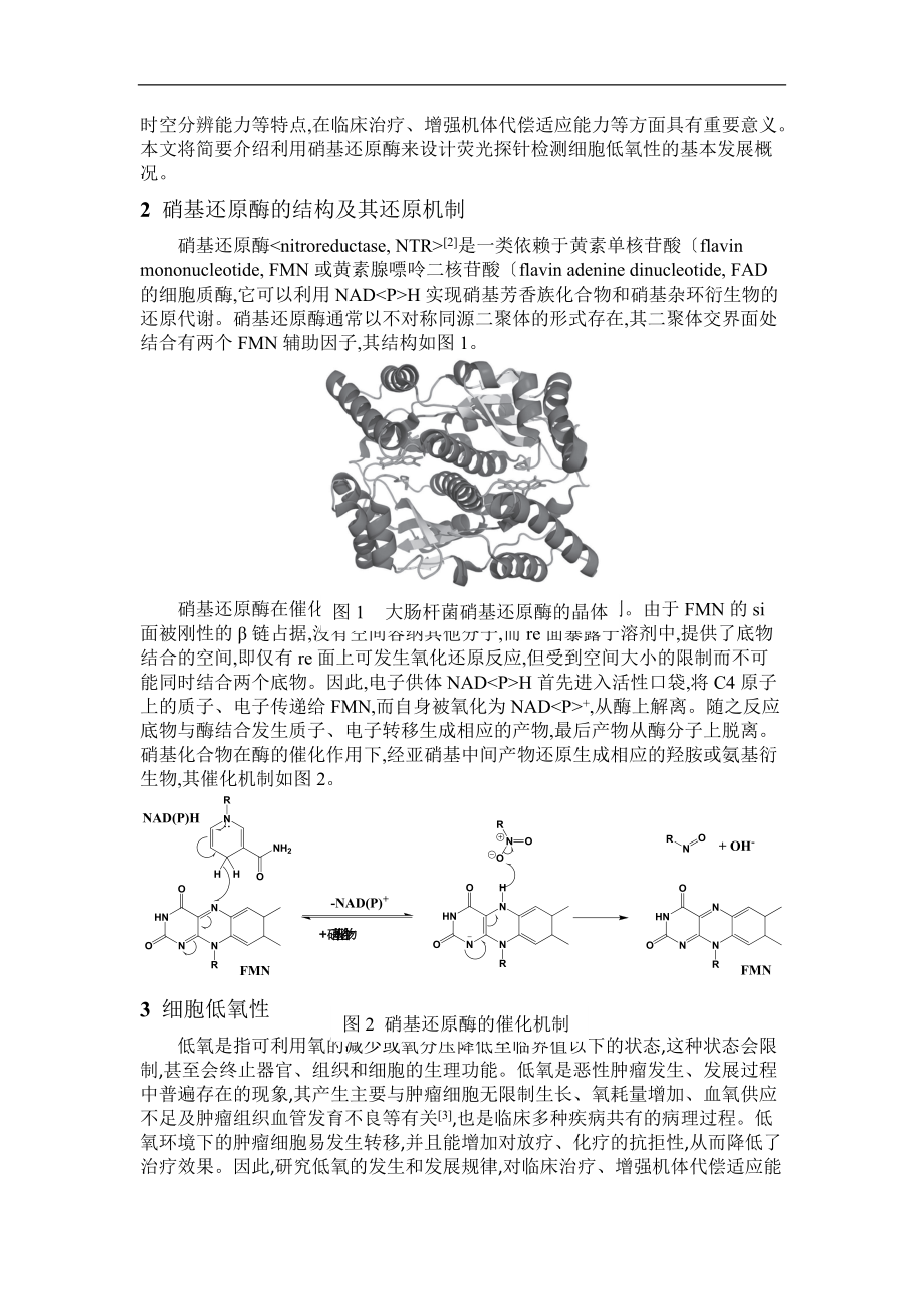 基于硝基还原酶的荧光氧探针_副本.doc_第2页