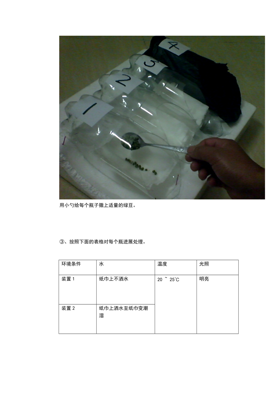 种子萌发地环境条件实验报告材料.doc_第3页