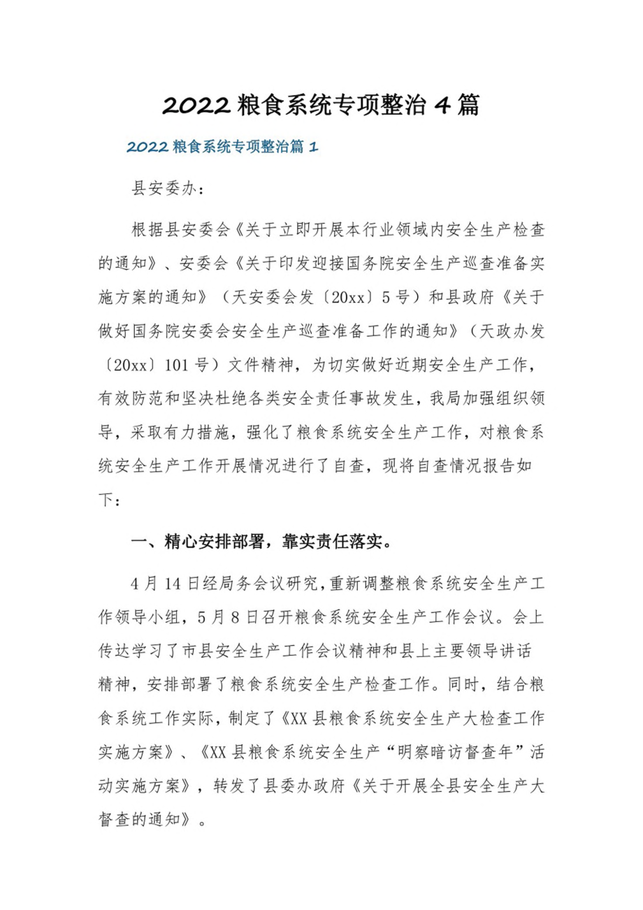 2022粮食系统专项整治4篇.pdf_第1页