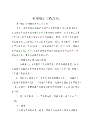 专项整治工作总结 (2).docx