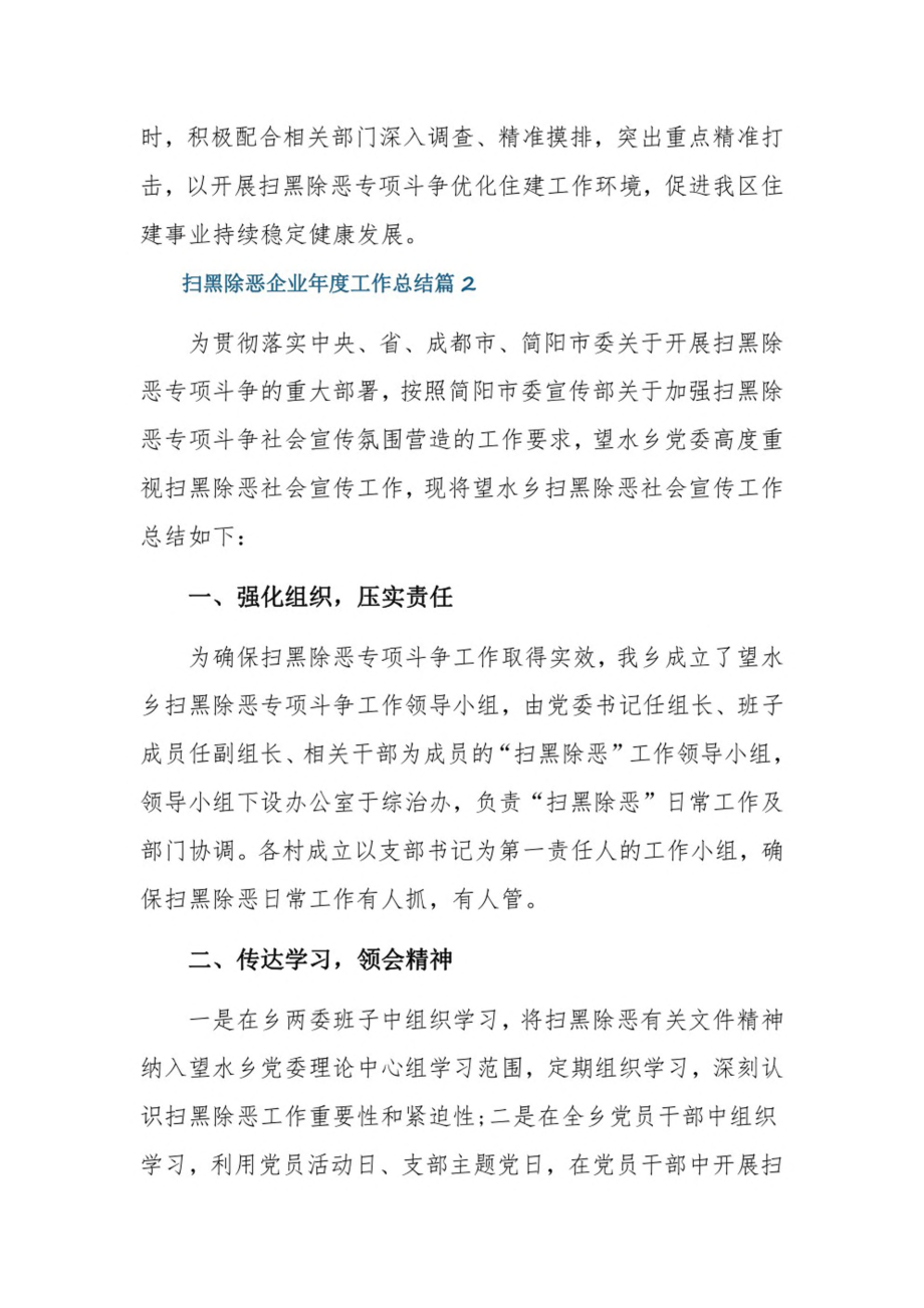 扫黑除恶企业年度工作总结3篇.pdf_第3页