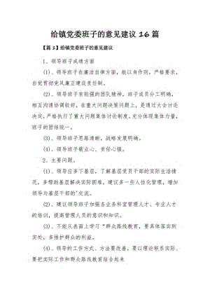 给镇党委班子的意见建议16篇.pdf