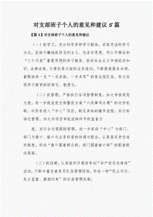 对支部班子个人的意见和建议5篇.pdf