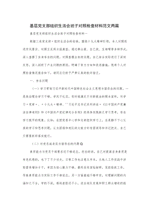 基层党支部组织生活会班子对照检查材料范文两篇.docx