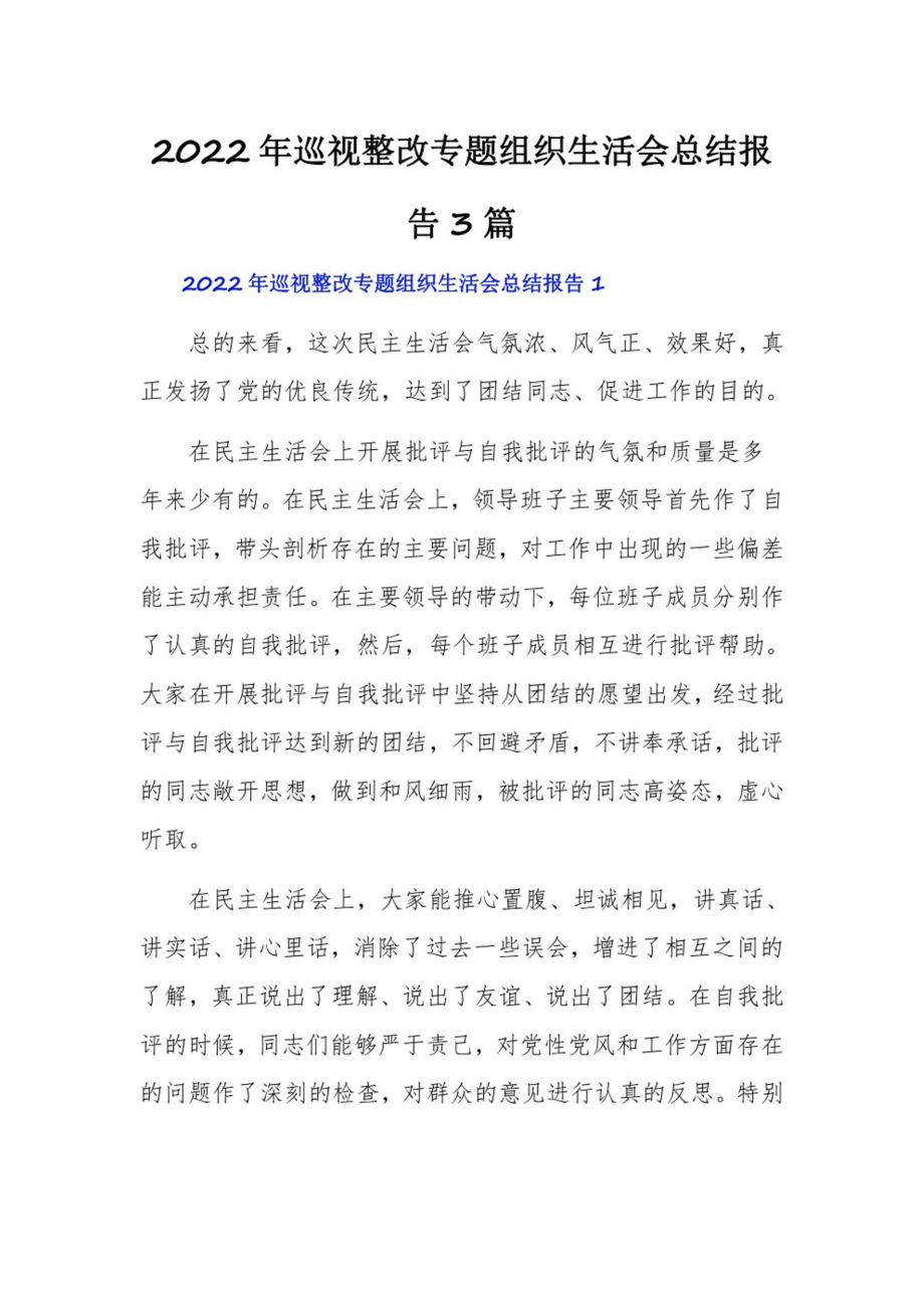 2022年巡视整改专题组织生活会总结报告3篇.pdf_第1页