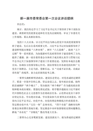 新一届市委常委会第一次会议讲话提纲新一届市委常委会第一次会议讲话提纲.docx