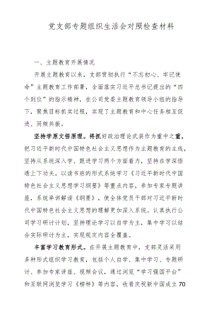 党支部专题组织生活会对照检查材料.docx