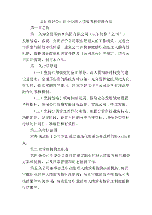 集团有限公司职业经理人绩效考核管理办法.docx