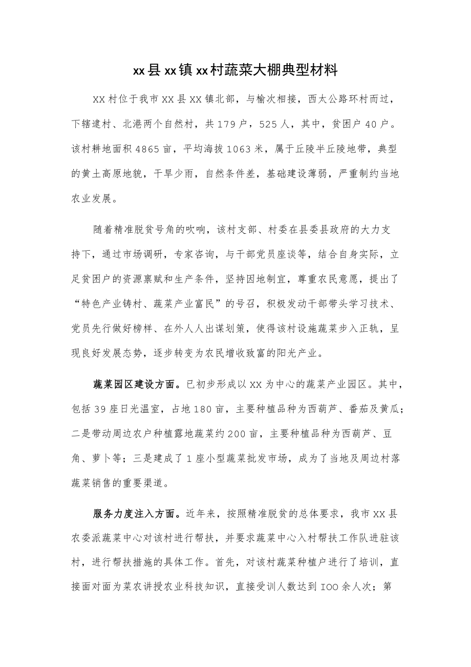 xx县xx镇xx村蔬菜大棚典型材料.docx_第1页