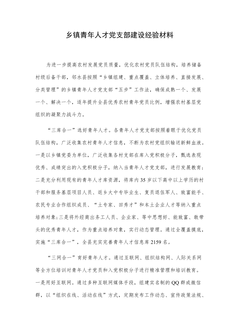 乡镇青人才党支部建设经验材料.docx_第1页