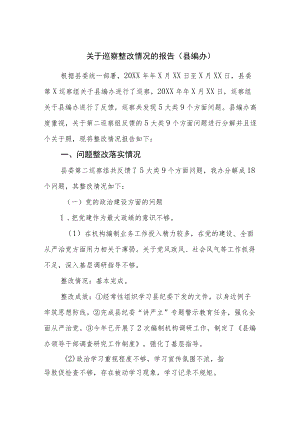 关于巡察整改情况的报告（县编办）.docx