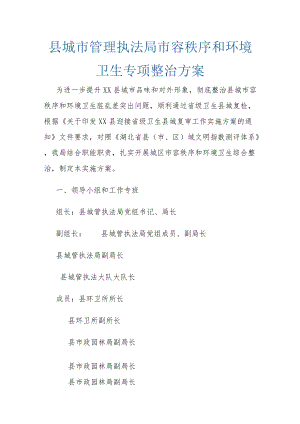 县城市管理执法局市容秩序和环境卫生专项整治方案.docx